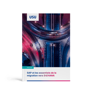 Whitepaper Image
