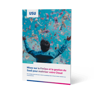 Whitepaper Image